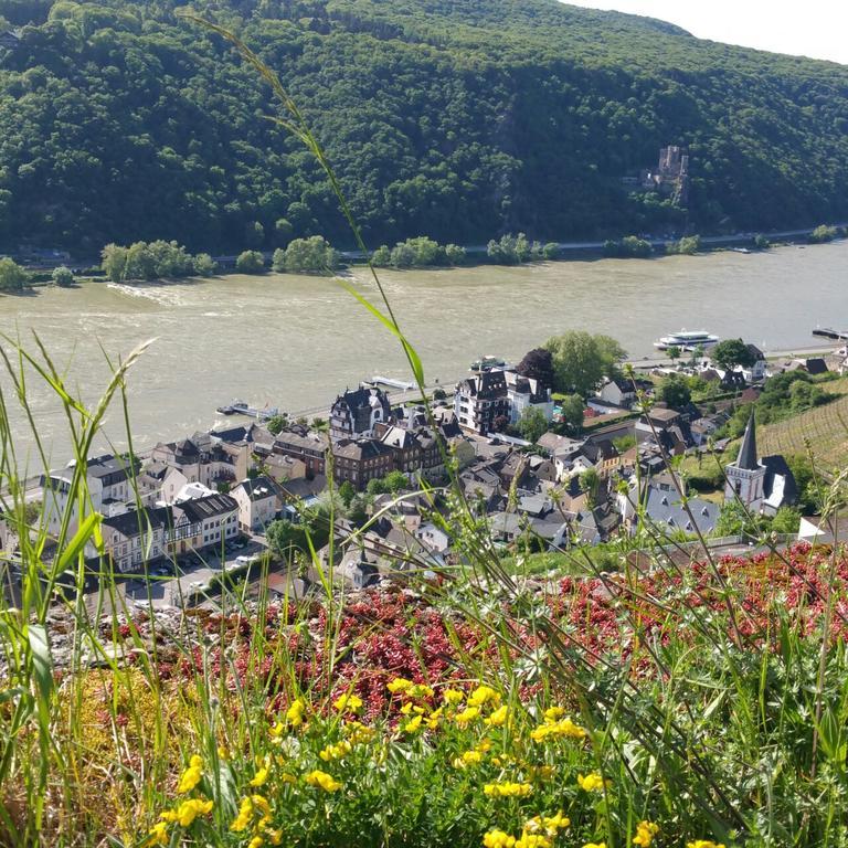 Eismauer Suite Rüdesheim am Rhein Eksteriør bilde